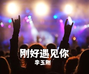 李玉刚《刚好遇见你吉他谱》(C调)