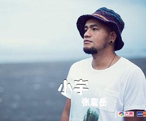 张震岳《小宇吉他谱》(C调)