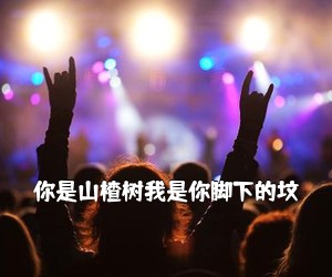 《你是山楂树我是你脚下的坟吉他谱》(C调)