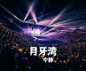 宁静《月牙湾吉他谱》(D调)