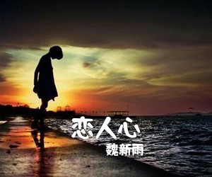 魏新雨《恋人心吉他谱》
