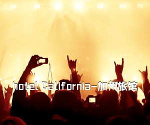 《hotel California-加州旅馆吉他谱》(D调)