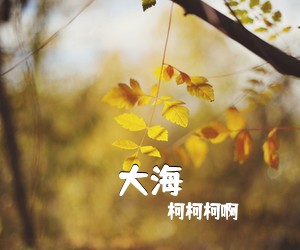 柯柯柯啊《大海吉他谱》(C调)