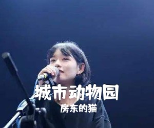 房东的猫《城市动物园吉他谱》(C调)