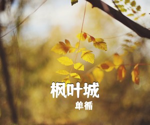 单循《枫叶城简谱》