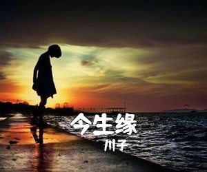 川子《今生缘吉他谱》(G调)