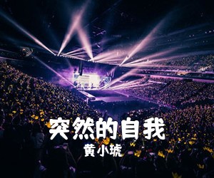 黄小琥《突然的自我吉他谱》(C调)