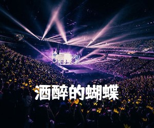 《酒醉的蝴蝶吉他谱》(G调)