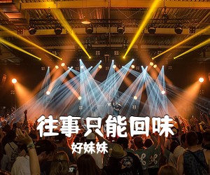 好妹妹《往事只能回味吉他谱》(G调)