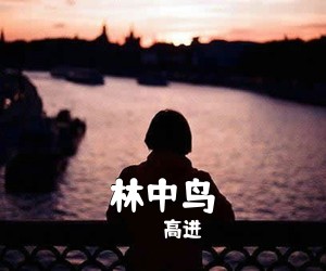 高进《林中鸟吉他谱》(C调)