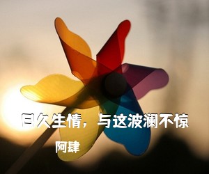 阿肆《日久生情，与这波澜不惊吉他谱》(C调)