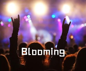 《Blooming吉他谱》(C调)
