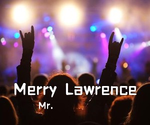 Mr.《Merry  Lawrence吉他谱》(C调)