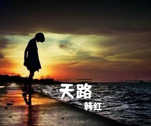 韩红《天路吉他谱》(C调)