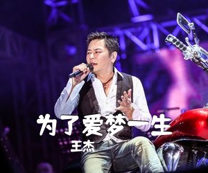 王杰《为了爱梦一生吉他谱》