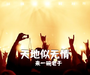 来一碗老于《天地似无情吉他谱》(G调)