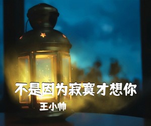 王小帅《不是因为寂寞才想你吉他谱》(C调)