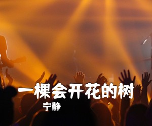 宁静《一棵会开花的树吉他谱》(C调)