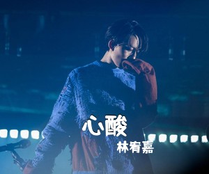 林宥嘉《心酸吉他谱》(G调)
