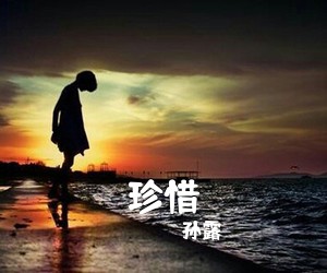 孙露《珍惜简谱》