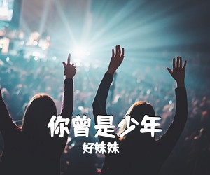 好妹妹《你曾是少年吉他谱》(G调)