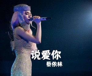 蔡依林《说爱你吉他谱》(C调)