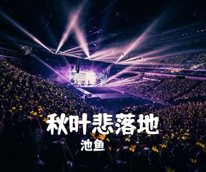 池鱼《秋叶悲落地吉他谱》(G调)
