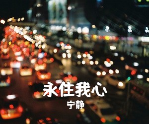 宁静《永住我心吉他谱》(C调)