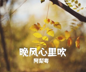 阿梨粤《晚风心里吹吉他谱》(G调)