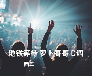 西二《地铁等待 萝卜哥哥 C调吉他谱》(C调)