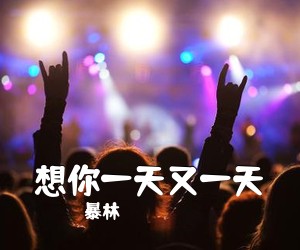 暴林《想你一天又一天简谱》
