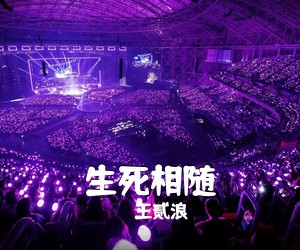 王贰浪《生死相随吉他谱》(C调)