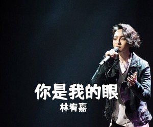 林宥嘉《你是我的眼吉他谱》(C调)