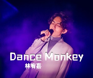 林宥嘉《Dance Monkey吉他谱》(G调)