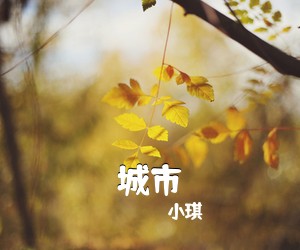 小琪《城市吉他谱》(C调)