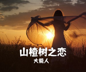 大能人《山楂树之恋吉他谱》(C调)