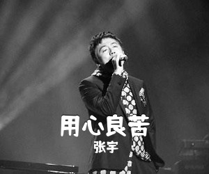 张宇《用心良苦吉他谱》(G调)