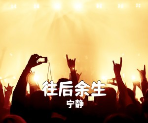 宁静《往后余生吉他谱》(C调)