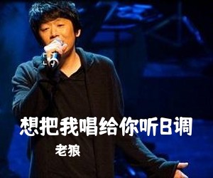 老狼《想把我唱给你听B调吉他谱》(B调)