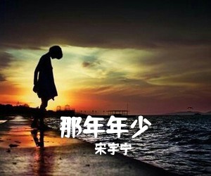 宋宇宁《那年年少吉他谱》(C调)