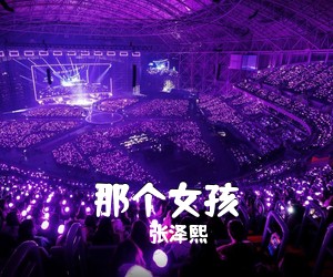 张泽熙《那个女孩吉他谱》(C调)