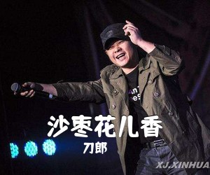 刀郎《沙枣花儿香吉他谱》