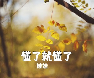 娃娃《懂了就懂了吉他谱》(C调)
