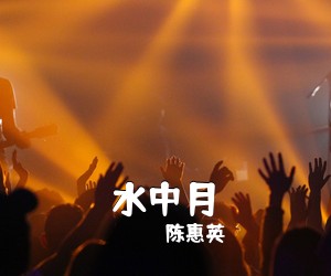 风语《舍不得你也放不下你简谱》