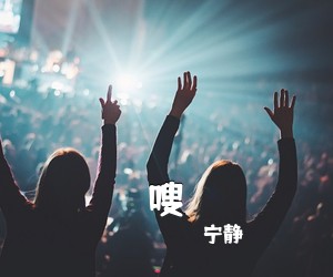 宁静《嗖吉他谱》(C调)