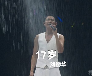 刘德华《17岁吉他谱》(C调)