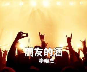 李晓杰《朋友的酒吉他谱》(C调)