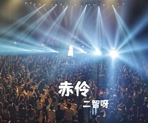 二智呀《赤伶吉他谱》(C调)