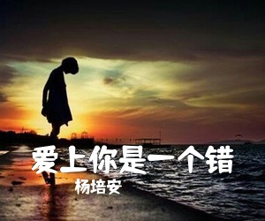 杨培安《爱上你是一个错吉他谱》(C调)