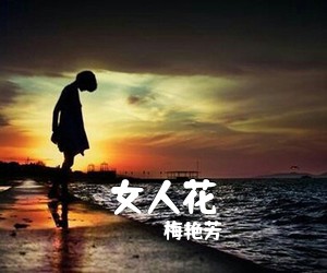 梅艳芳《女人花吉他谱》